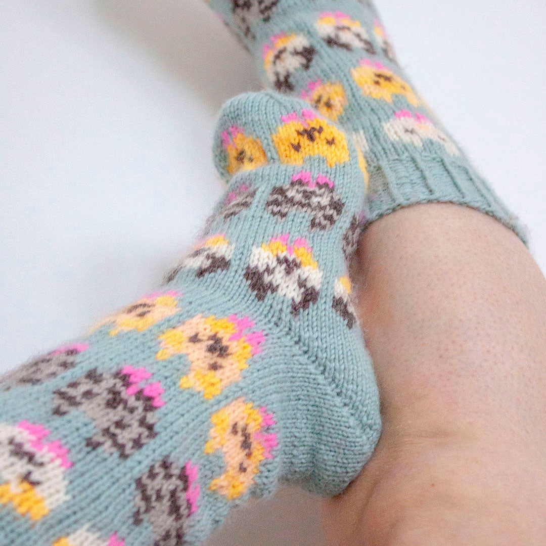 Kitten fête socks Fingering & DK
